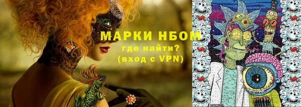 прущие грибы Шарыпово