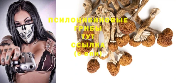 ALPHA PVP Сафоново