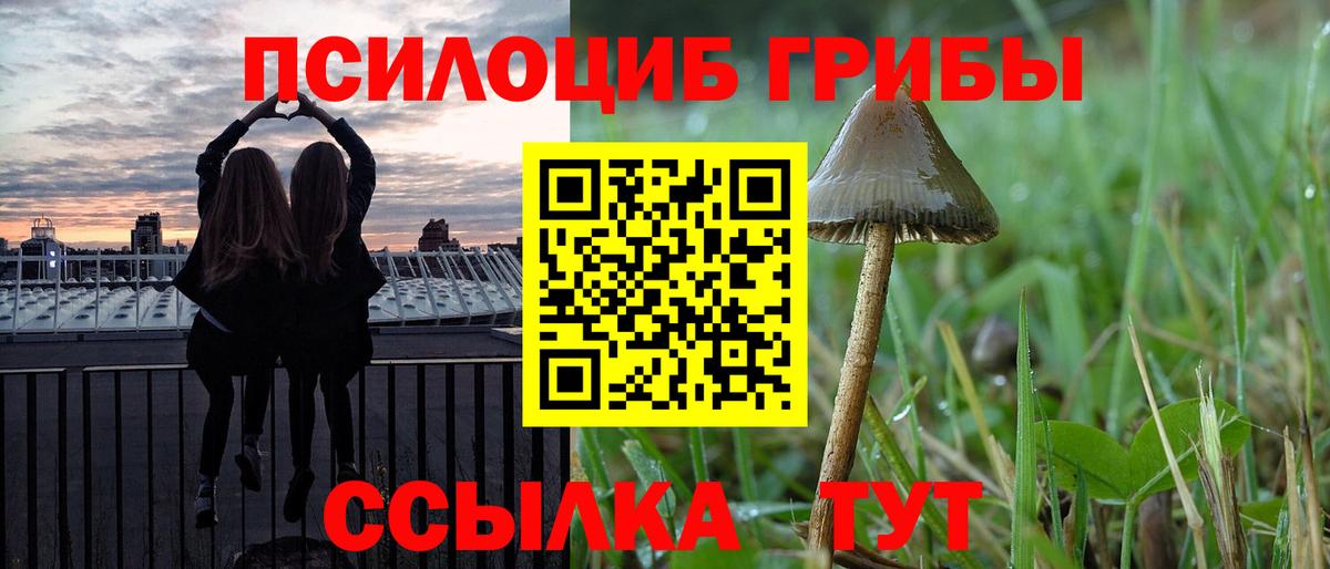 Псилоцибиновые грибы Psilocybine cubensis  Псилоцибиновые грибы Psilocybe  Вход с VPN  Усть-Кут 