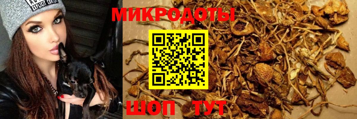 Галлюциногенные грибы ЛСД Усть-Кут